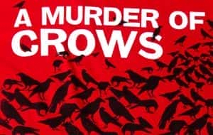 PBS鸟类纪录片《乌鸦 A Murder of Crows》全1集 720P/1080i高清纪录片资源-高清标清1080P720P360P迅雷BT网盘下载