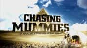 埃及考古纪录片《追踪木乃伊 Chasing Mummies》全10集 720P/1080i高清纪录片-高清标清1080P720P360P迅雷BT网盘下载