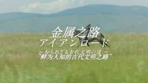 NHK古文明发展纪录片《金属之路-鲜为人知的古代文明之路》全1集 720P/1080i高清纪录片资源-高清标清1080P720P360P迅雷BT网盘下载