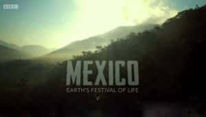 BBC自然生态纪录片《墨西哥:地球上的生命狂欢 Mexico-Earth’s Festival of Life》全3集 720P/1080i高清纪录片资源-高清标清1080P720P360P迅雷BT网盘下载