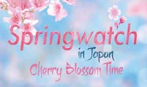 BBC旅行纪录片《日本赏春：樱花盛开时节 Springwatch in Japan Cherry Blossom Time》全1集 720P/1080i高清纪录片资源-高清标清1080P720P360P迅雷BT网盘下载