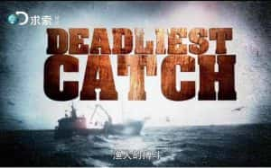 探索频道捕鱼纪录片《渔人的搏斗 Deadliest Catch》第13季 720P/1080i高清纪录片资源-高清标清1080P720P360P迅雷BT网盘下载