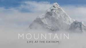 BBC自然生态纪录片《山间的生命极限 Mountain: Life at the Extreme》全3集 720P/1080i高清纪录片资源-高清标清1080P720P360P迅雷BT网盘下载