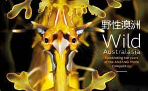 BBC自然生态纪录片《野性澳洲 Wild Australasia 2003》全6集 标清纪录片资源-高清标清1080P720P360P迅雷BT网盘下载