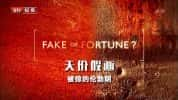 BBC艺术人文纪录片《天价假画 Fake or Fortune 》全10集 720P/1080i高清纪录片-高清标清1080P720P360P迅雷BT网盘下载