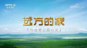 央视旅行纪录片《远方的家 行走青山绿水间》更新至32集 720P/1080i高清纪录片资源-高清标清1080P720P360P迅雷BT网盘下载