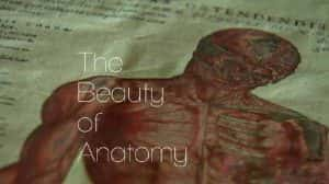 BBC解剖学发展史纪录片《解剖学之美 The Beauty of Anatomy》全5集 标清纪录片资源-高清标清1080P720P360P迅雷BT网盘下载