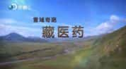 探索频道医学研究纪录片《雪域奇葩藏医药》全2集 720P/1080i高清纪录片-高清标清1080P720P360P迅雷BT网盘下载