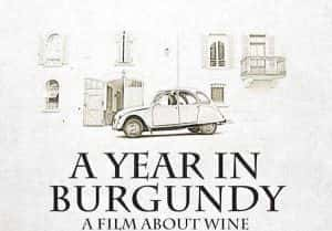 葡萄酒纪录片《在勃艮第的一年 A Year in Burgundy》全1集 720P/1080i高清纪录片资源-高清标清1080P720P360P迅雷BT网盘下载