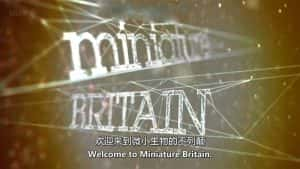 BBC生物纪录片《英国的微小生命 Miniature Britain》全1集 720P/1080i高清纪录片资源-高清标清1080P720P360P迅雷BT网盘下载