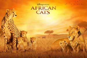 迪士尼自然生物纪录片《非洲猫科 African Cats 2011》全1集 720P/1080i高清纪录片资源-高清标清1080P720P360P迅雷BT网盘下载