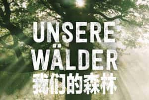 德国历史人文纪录片《我们的森林 Unsere Walder》全3集 720P/1080i高清纪录片资源-高清标清1080P720P360P迅雷BT网盘下载