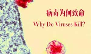 BBC传染病科普纪录片《病毒为何致命 Why Do Viruses Kill》全1集 720P/1080i高清纪录片资源-高清标清1080P720P360P迅雷BT网盘下载