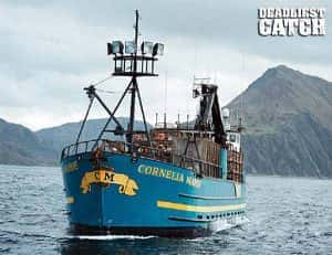 探索频道捕鱼纪录片《渔人的搏斗 Deadliest Catch》第1季 标清纪录片资源-高清标清1080P720P360P迅雷BT网盘下载