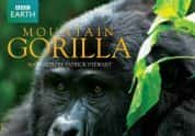 BBC野生动物纪录片《山地大猩猩 Mountain Gorilla》全3集 720P/1080i高清纪录片-高清标清1080P720P360P迅雷BT网盘下载