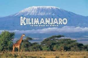 IMAX自然生态纪录片《乞力马扎罗山非洲之巅 Kilimanjaro To the Roof of Africa》全1集 720P/1080i高清纪录片资源-高清标清1080P720P360P迅雷BT网盘下载