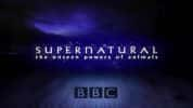 BBC生命探索纪录片《超自然力量：探索自然界的神奇力量 Supernatural The Unseen Powers of Animals》全6集 标清纪录片-高清标清1080P720P360P迅雷BT网盘下载