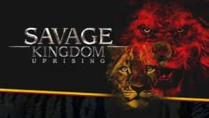 国家地理自然生态纪录片《野蛮王国 Savage Kingdom》第3季 720P/1080i高清纪录片资源-高清标清1080P720P360P迅雷BT网盘下载