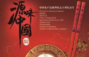 CCTV央视美食纪录片《源味中国 Tastes of China》全7集 720P/1080i高清纪录片资源-高清标清1080P720P360P迅雷BT网盘下载