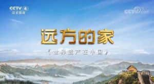 央视旅行纪录片《远方的家 世界遗产在中国》全19集 720P/1080i高清纪录片资源-高清标清1080P720P360P迅雷BT网盘下载