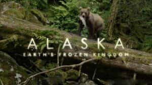 BBC自然生态纪录片《野性阿拉斯加 地球上的冰冻王国 Alaska:Earth’s Frozen Kingdom》全3集 720P/1080i高清纪录片资源-高清标清1080P720P360P迅雷BT网盘下载