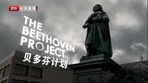 音乐艺术纪录片《贝多芬计划 The Beethoven Project》全2集 720P/1080i高清纪录片资源-高清标清1080P720P360P迅雷BT网盘下载