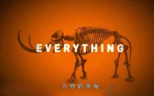 BBC科学探索纪录片《万物的奥秘 Everything》全6集 720P/1080i高清纪录片资源-高清标清1080P720P360P迅雷BT网盘下载