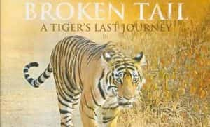 PBS野生动物保护纪录片《老虎“断尾”的最后旅程 Broken Tail:A Tiger’s Last Journey》全1集 720P/1080i高清纪录片资源-高清标清1080P720P360P迅雷BT网盘下载