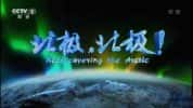 CCTV央视极地纪录片《北极，北极! Rediscovering The Arctic》全8集 720P/1080i高清纪录片-高清标清1080P720P360P迅雷BT网盘下载