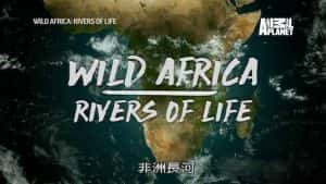 水文生态纪录片《非洲长河 Wild Africa: River of life》全7集 720P/1080i高清纪录片资源-高清标清1080P720P360P迅雷BT网盘下载