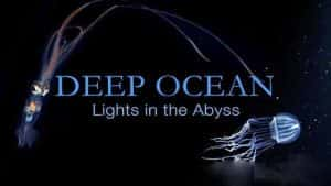 NHK深海探索纪录片《海洋深处 Deep Ocean》全3集 720P/1080i高清纪录片资源-高清标清1080P720P360P迅雷BT网盘下载