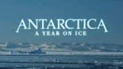 BBC南极自然生态纪录片《南极洲：冰上的一年 Antarctica A Year on Ice》全1集 720P/1080i高清纪录片-高清标清1080P720P360P迅雷BT网盘下载