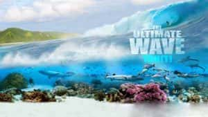 IMAX大溪地冲浪纪录片《塔希提巨浪 The Ultimate Wave Tahiti》全1集 720P/1080i高清纪录片资源-高清标清1080P720P360P迅雷BT网盘下载