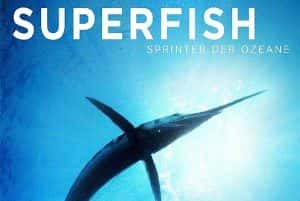 PBS海洋生态纪录片《超级鱼类 Superfish》全1集 720P/1080i高清纪录片资源-高清标清1080P720P360P迅雷BT网盘下载