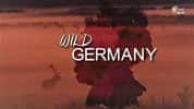 自然生态纪录片《野性德国 Wild Germany》全4集 720P/1080i高清纪录片-高清标清1080P720P360P迅雷BT网盘下载