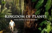 BBC自然生态纪录片《与大卫爱登堡一起探索植物王国 Kingdom of Plants with David Attenborough》全4集 720P/1080i高清纪录片-高清标清1080P720P360P迅雷BT网盘下载