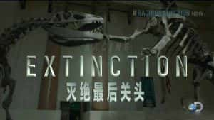 探索频道动物保护纪录片《灭绝最后关头 Racing Extinction》全1集 720P/1080i高清纪录片资源-高清标清1080P720P360P迅雷BT网盘下载