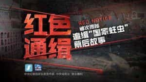 央视国际追逃纪录片《红色通缉 Red Notice》全5集 720P/1080i高清纪录片资源-高清标清1080P720P360P迅雷BT网盘下载