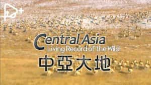 PTS帕米尔高原生态纪录片《中亚大地 Central Asia》全5集 720P/1080i高清纪录片资源-高清标清1080P720P360P迅雷BT网盘下载