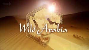 BBC自然生态纪录片《野性阿拉伯 狂野阿拉伯 Wild Arabia》全3集 720P/1080i高清纪录片资源-高清标清1080P720P360P迅雷BT网盘下载