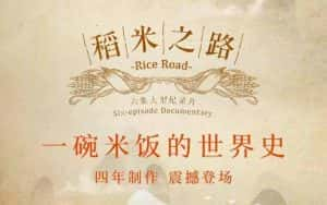 央视粮食发展史纪录片《稻米之路 rice road》全6集 720P/1080i高清纪录片资源-高清标清1080P720P360P迅雷BT网盘下载