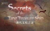 国家地理海洋考古纪录片《唐代宝船之谜 Secrets Of The Tang Treasure Ship》全1集 720P/1080i高清纪录片-高清标清1080P720P360P迅雷BT网盘下载