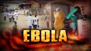 BBC病毒防疫纪录片《寻找治愈埃博拉病毒的方法 Ebola:The Search for a Cure》全1集 标清纪录片资源-高清标清1080P720P360P迅雷BT网盘下载