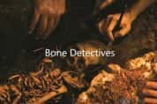 探索频道考古纪录片《人骨探秘 Bone Detectives》全13集 720P/1080i高清纪录片-高清标清1080P720P360P迅雷BT网盘下载