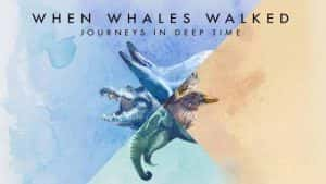 PBS史前进化纪录片《鲸鱼行走的世代：深时之旅 When Whales Walked:Journeys in Deep Time》全1集 720P/1080i高清纪录片资源-高清标清1080P720P360P迅雷BT网盘下载