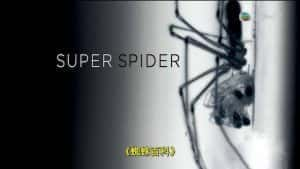 蜘蛛百科纪录片《超级蜘蛛 Super Spider》全1集 720P/1080i高清纪录片资源-高清标清1080P720P360P迅雷BT网盘下载