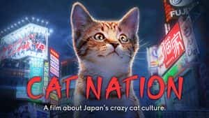 日本猫文化纪录片《猫咪国度 Cat Nation: A Film About Japan’s Crazy Cat Culture》全1集 720P/1080i高清纪录片资源-高清标清1080P720P360P迅雷BT网盘下载