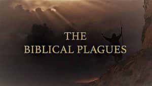 宗教纪录片《圣经十灾 The Biblical Plagues》全3集 720P/1080i高清纪录片资源-高清标清1080P720P360P迅雷BT网盘下载