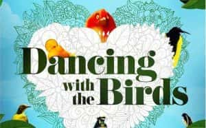 Netflix极乐鸟研究纪录片《与雀共舞 Dancing with the Birds》全1集 720P/1080i高清纪录片资源-高清标清1080P720P360P迅雷BT网盘下载