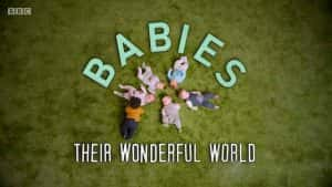 BBC亲子教育纪录片《北鼻异想世界 The Wonderful World of Babies》全3集 720P/1080i高清纪录片资源-高清标清1080P720P360P迅雷BT网盘下载